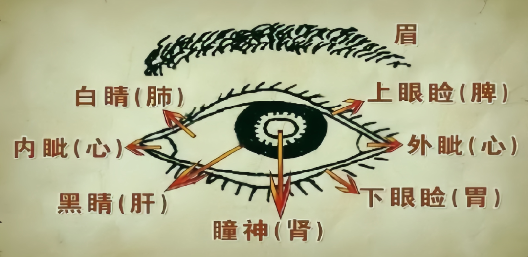 人之精华
