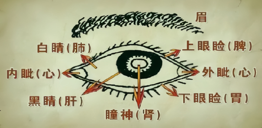 人之精华藏于眼目，久拖不治损伤大！