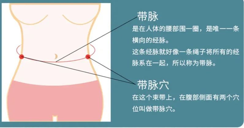 抓带脉