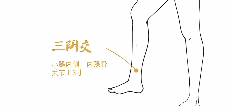 三阴交