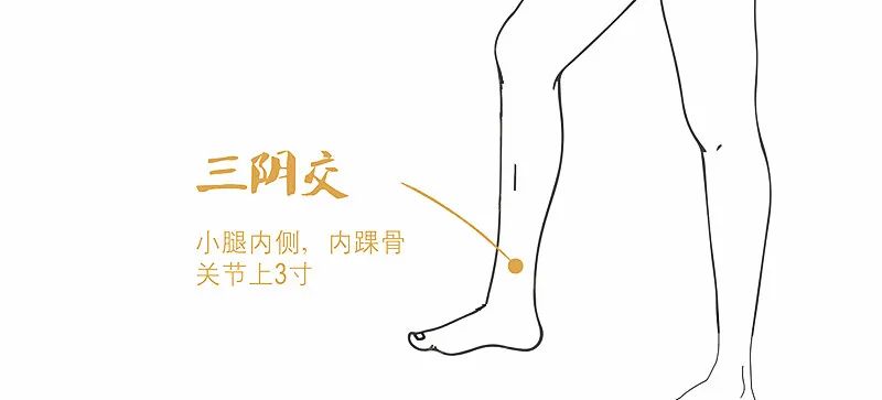三阴交