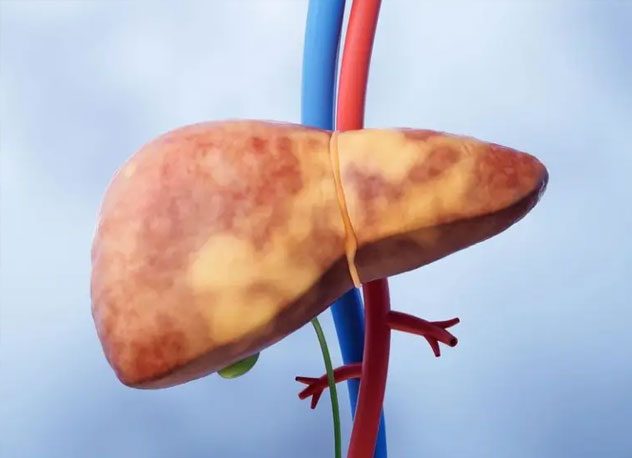 丙午年养肝指南，夜间磨牙、查不出病，有什么玄学因果吗？