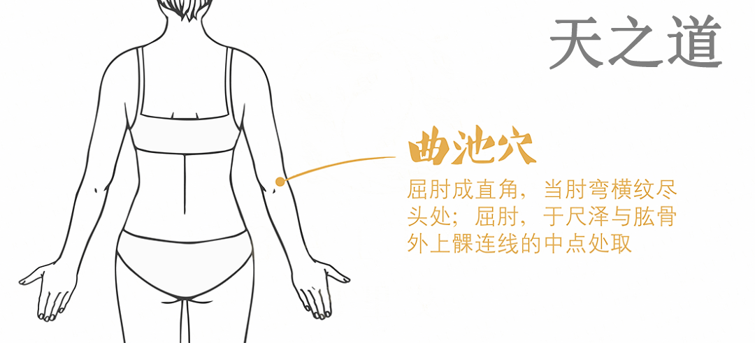 曲池穴