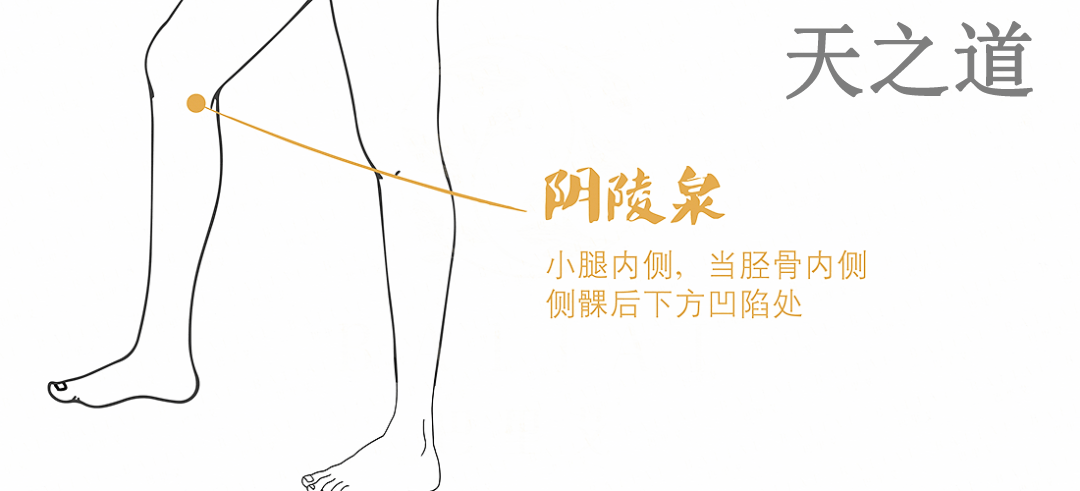 阴陵泉穴
