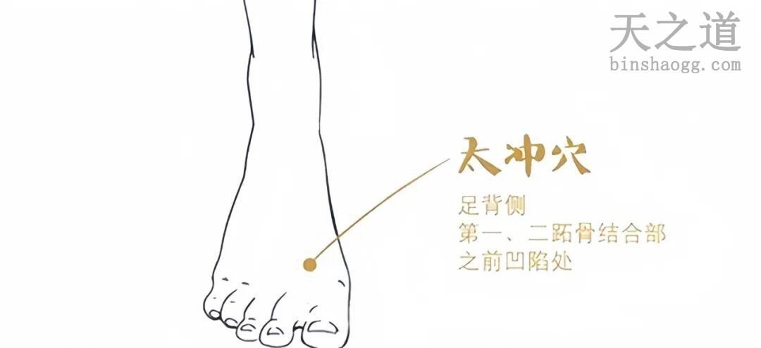 太冲穴