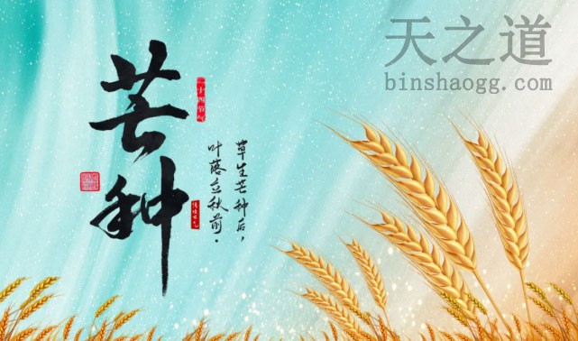 芒种