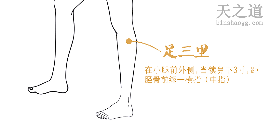 足三里