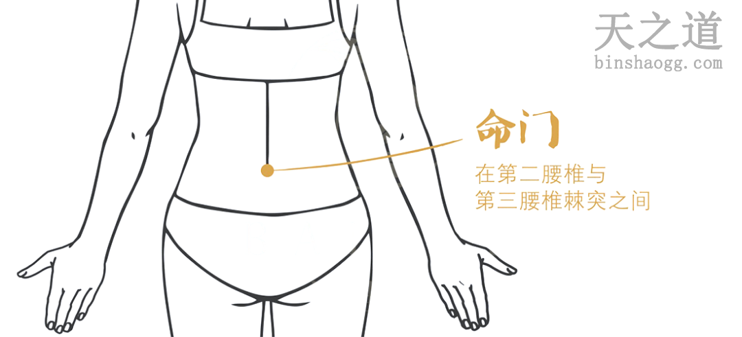 命门穴