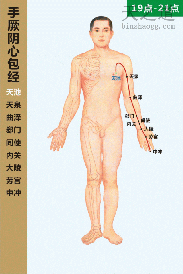 心包经 心包经