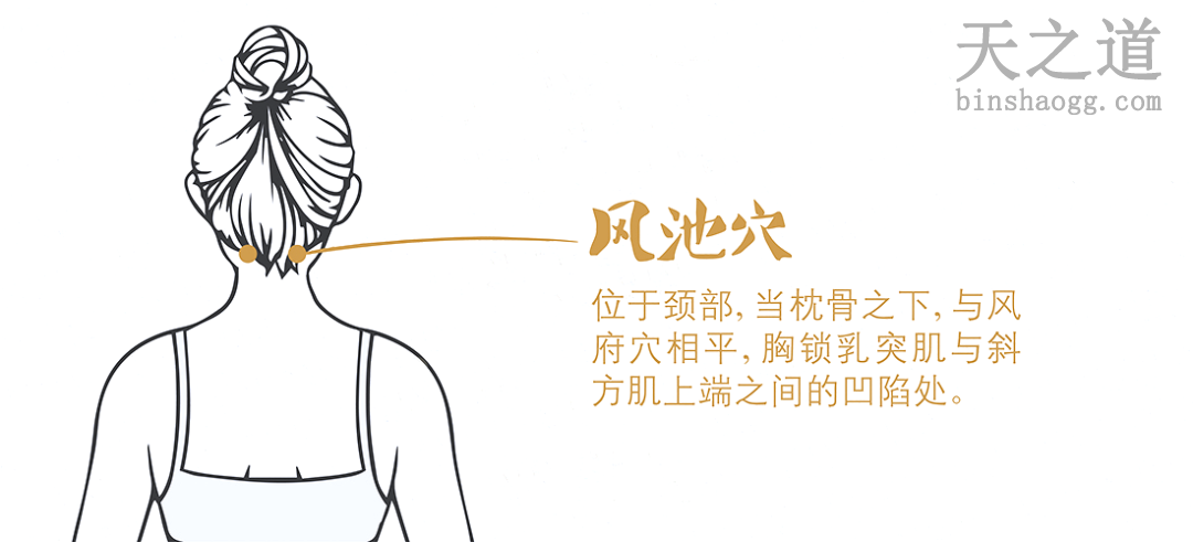 风池穴 风池穴