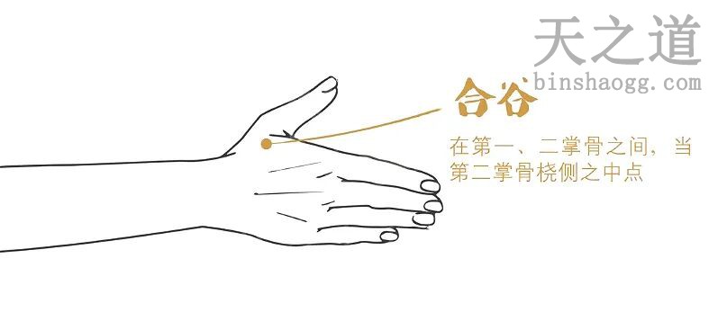合谷穴 合谷穴