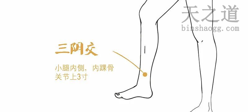 三阴交 三阴交