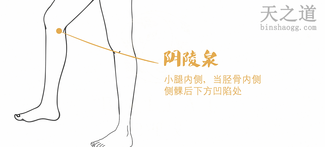 阴陵泉穴 阴陵泉穴