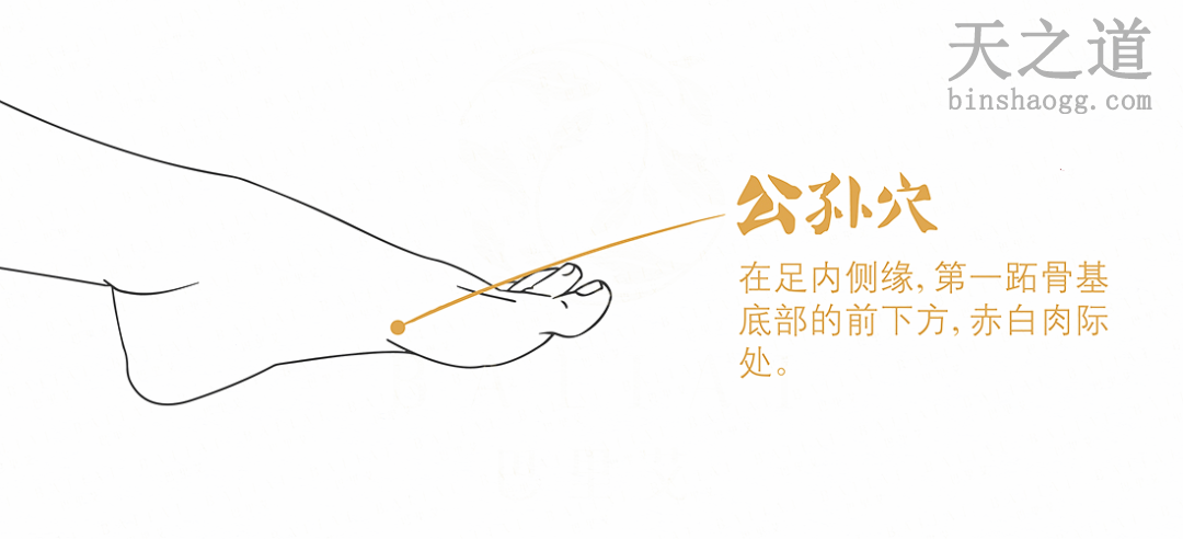公孙穴 公孙穴