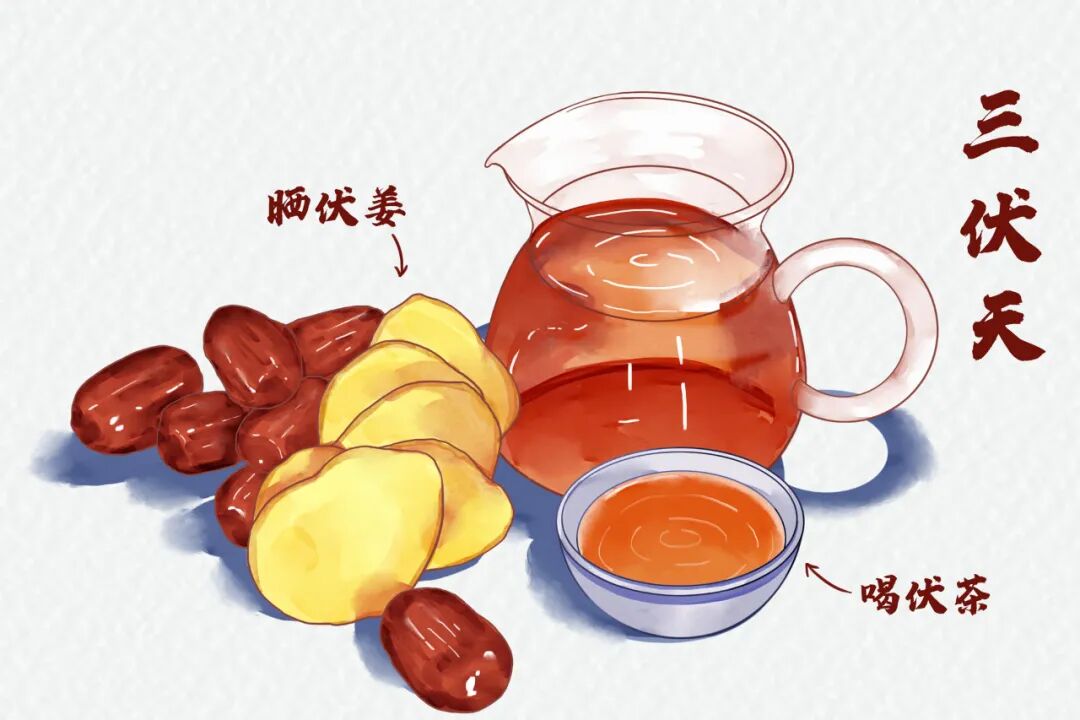 饮伏茶 饮伏茶