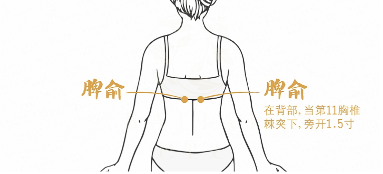 脾俞穴 脾俞穴