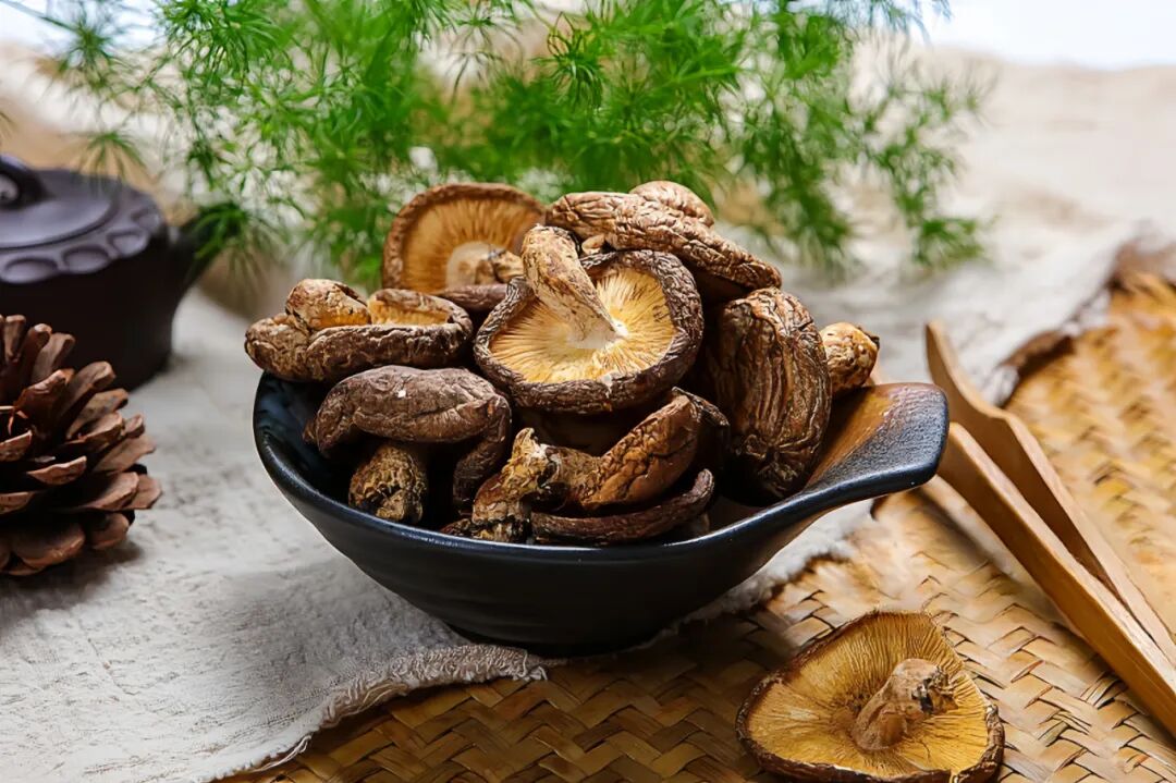 食疗补气血