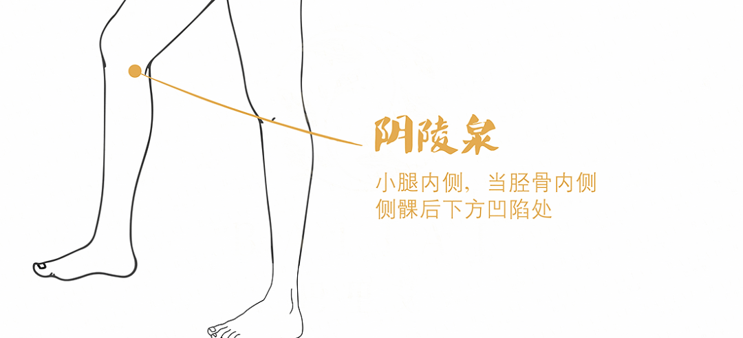 阴陵泉 阴陵泉