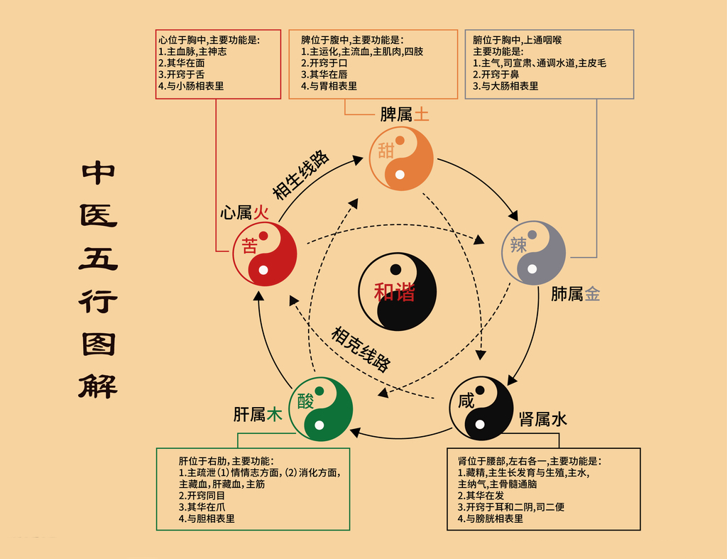 中医养生
