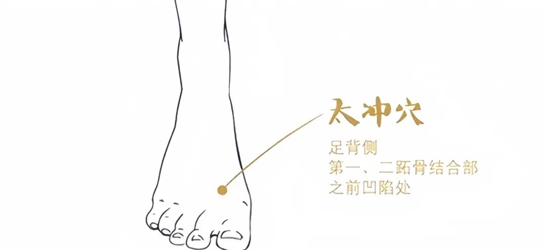 太冲穴