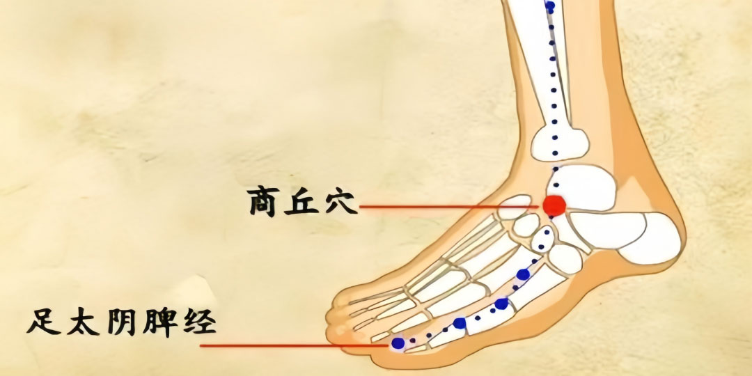 消炎穴商丘穴 消炎穴商丘穴