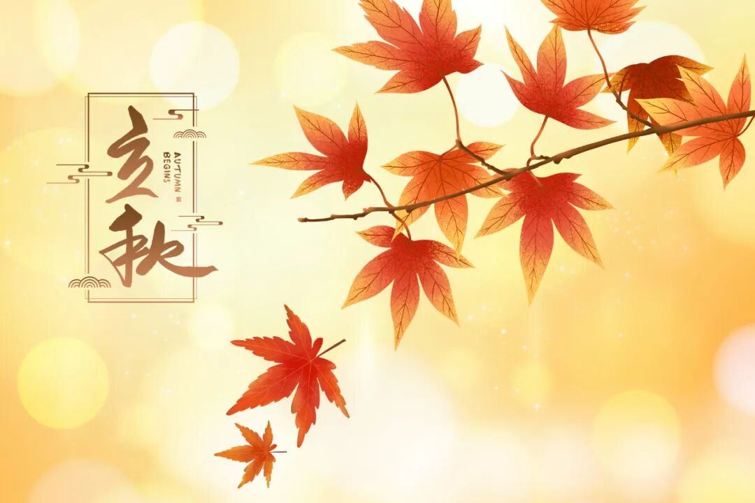 二十四节气之立秋