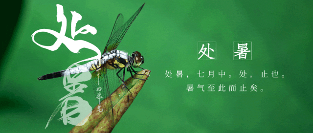 处暑养生 处暑养生
