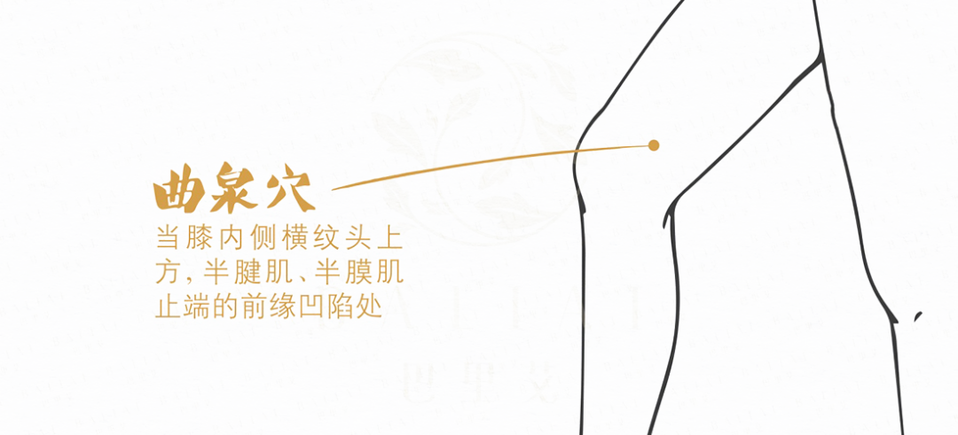 曲泉穴