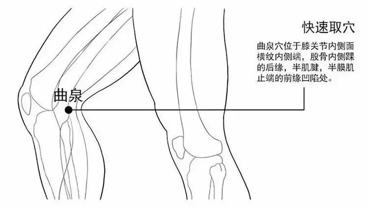 曲泉穴穴位疗法