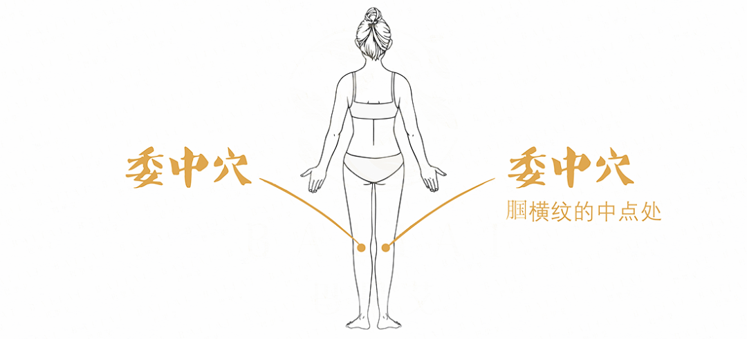 排毒穴委中穴 排毒穴委中穴