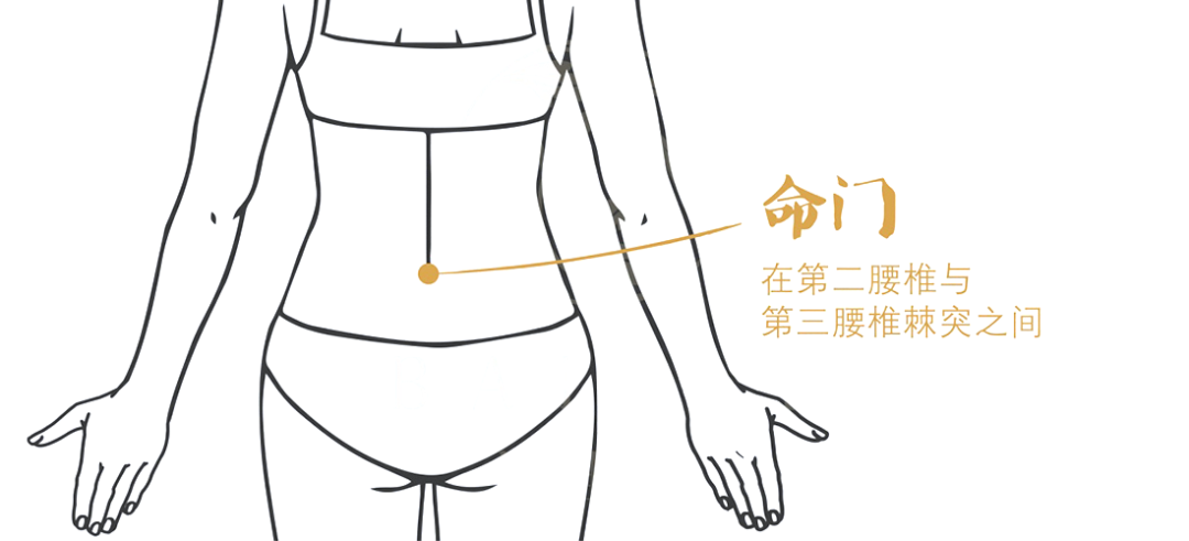 艾灸命门穴 艾灸命门穴