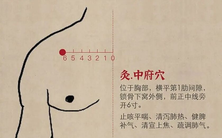 中府穴提高肺的防御力