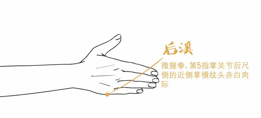 后溪穴 后溪穴