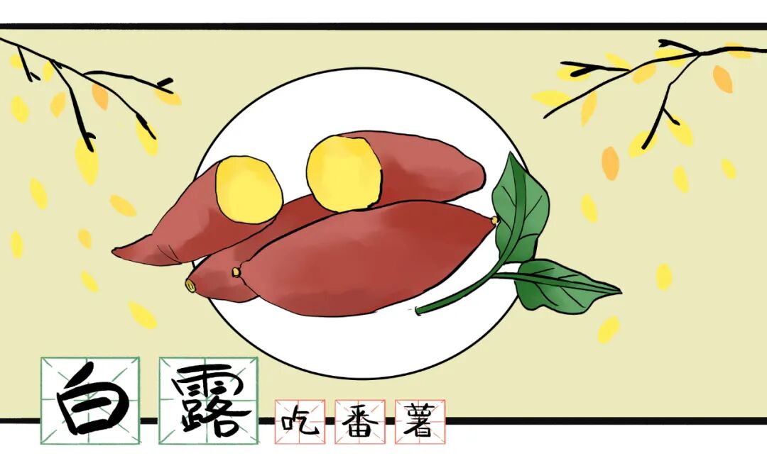 白露民间习俗吃番薯 白露民间习俗吃番薯