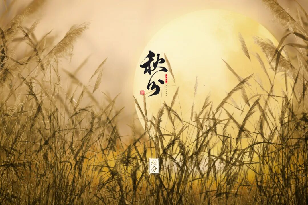 道家顺四时养生,秋分收敛阳气安养脏腑 道家顺四时养生,秋分收敛阳气安养脏腑
