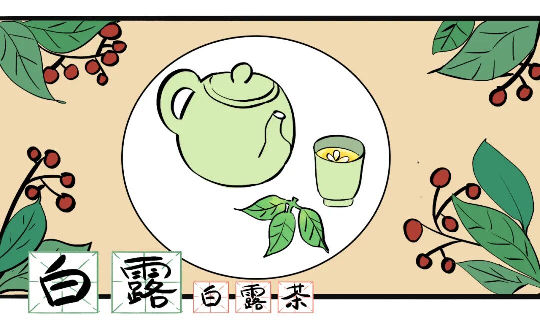 白露民间习俗泡清茶 白露民间习俗泡清茶