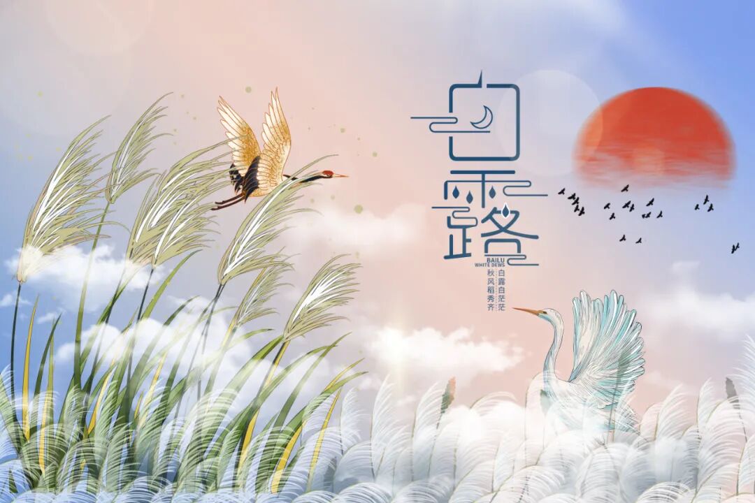 白露节气什么时候 白露节气什么时候