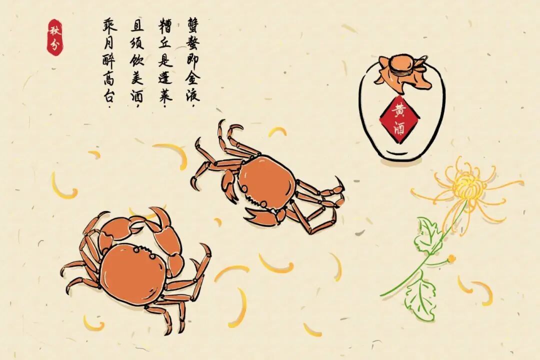 秋分不养一年白忙,秋冬节气养生调理知识 秋分不养一年白忙,秋冬节气养生调理知识