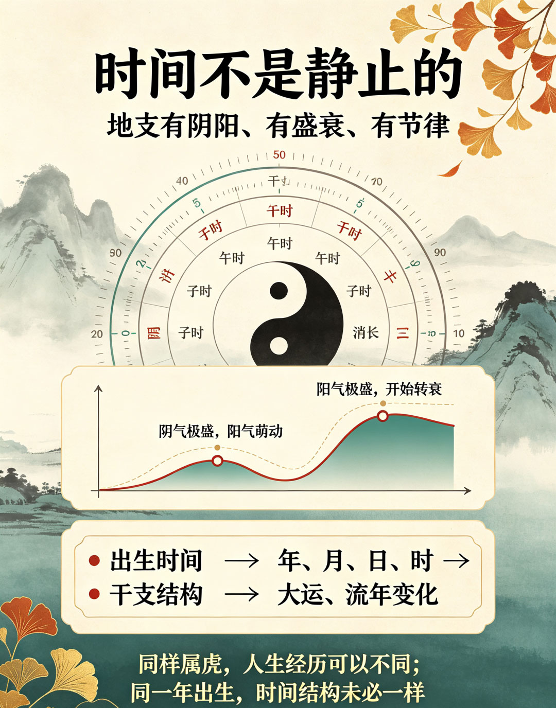 地支有阴阳有节律