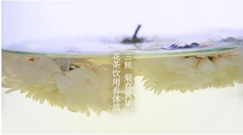 三候菊有黄华