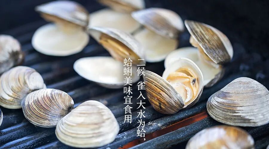 二候爵入大水为蛤